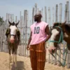 Ballon 103 Pant